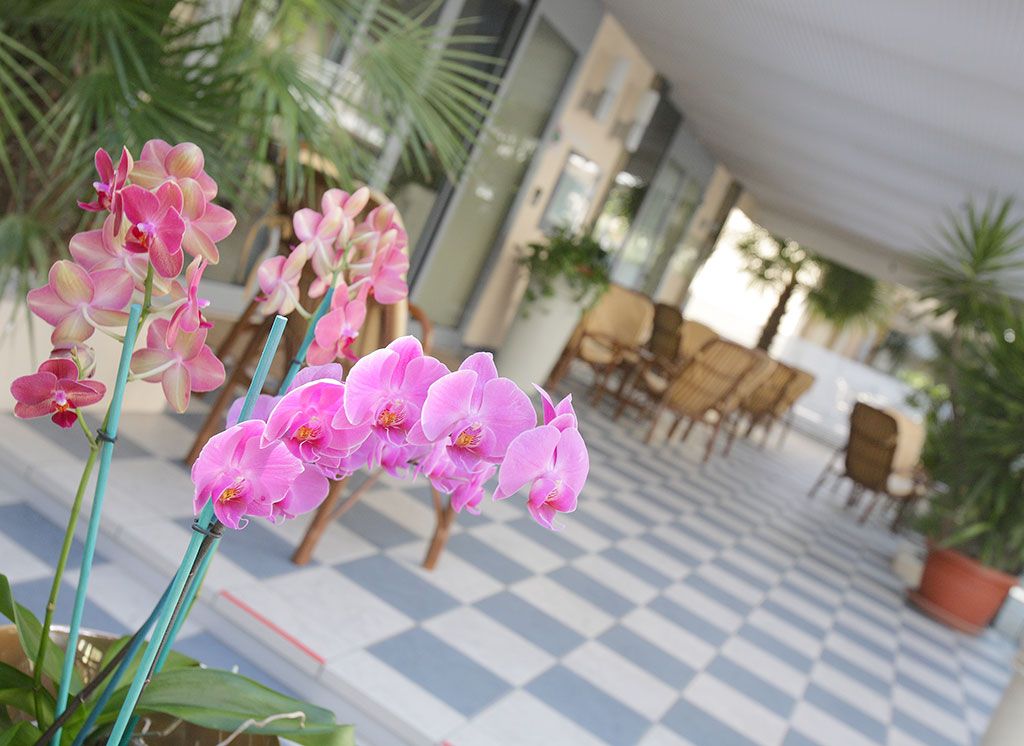 Particolare 2 Hotel Venezia Rimini